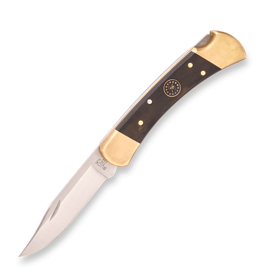 Buck 110 Folding Hunter America 250 Edition (Ebony Handle)