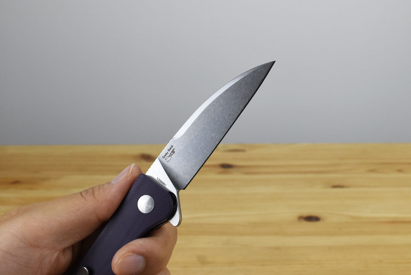 Kizer V3566N1 Sway Back N690