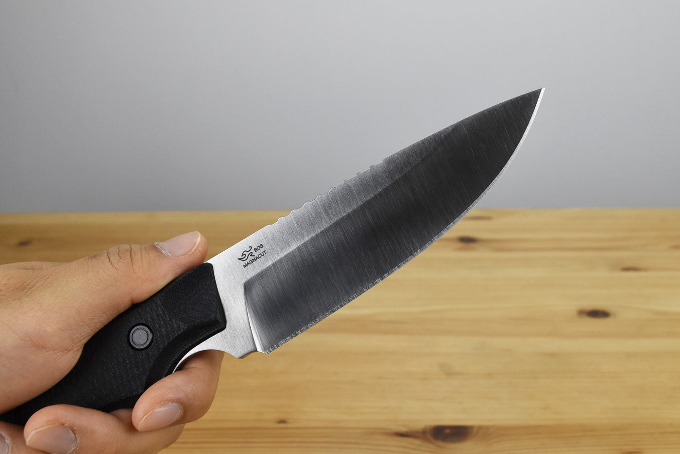 Buck 663 Alpha Guide Elite Fixed Blade Magnacut