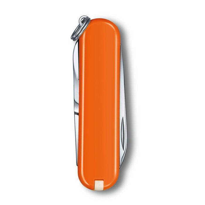 Victorinox Classic SD Classic Colors Multitool Pocket Knife 0.6223 (6 Versions)