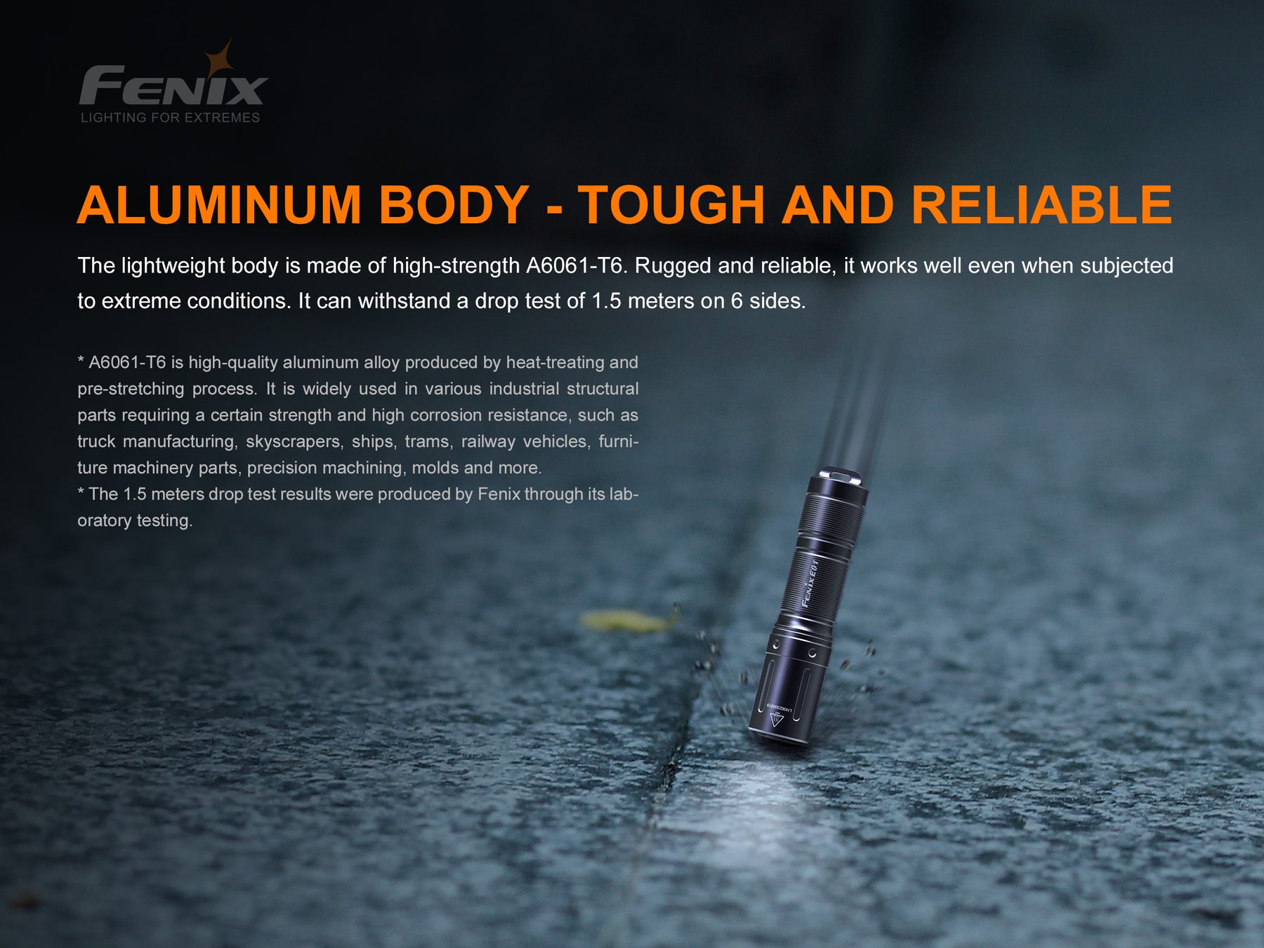 Fenix E01 V2.0 Keychain Flashlight (100 Lumens) (2 Versions)