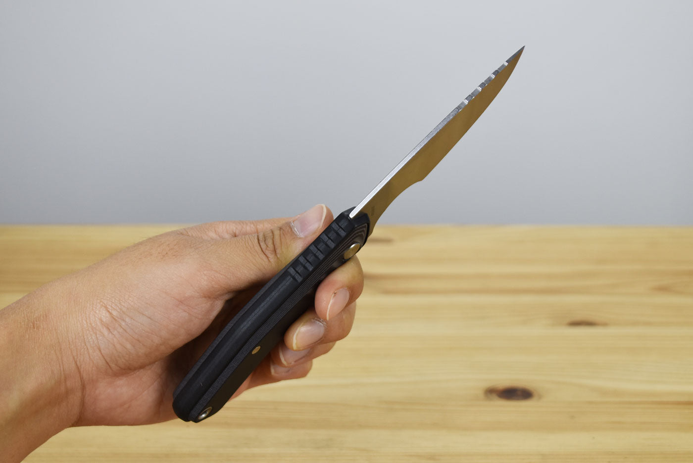 Gerber Downwind Caper Fixed Blade (Black)