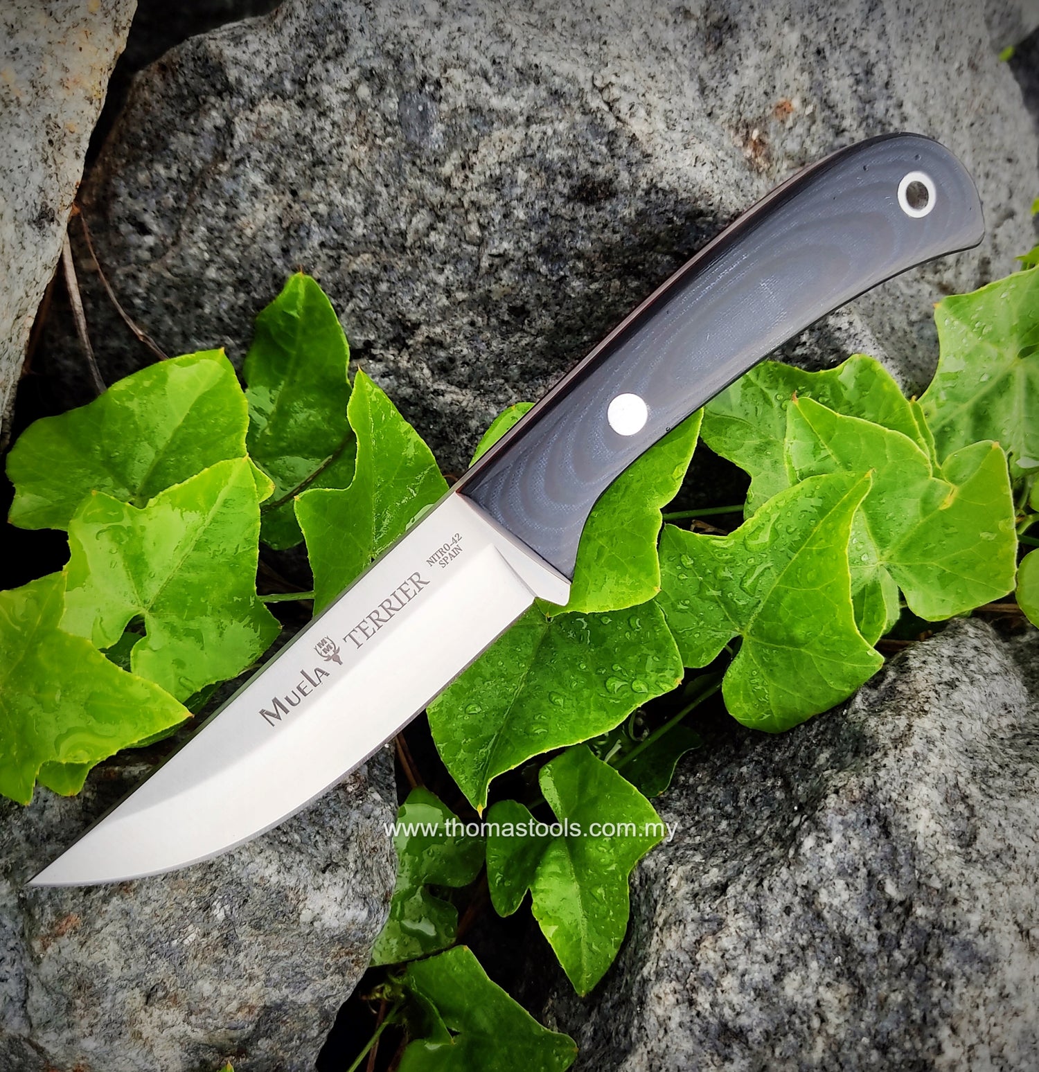 Muela Terrier Fixed Blade. For generations to come.
