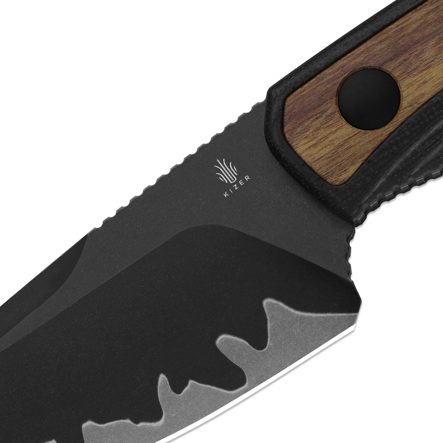 Kizer 1134A1 Finch spine jimping