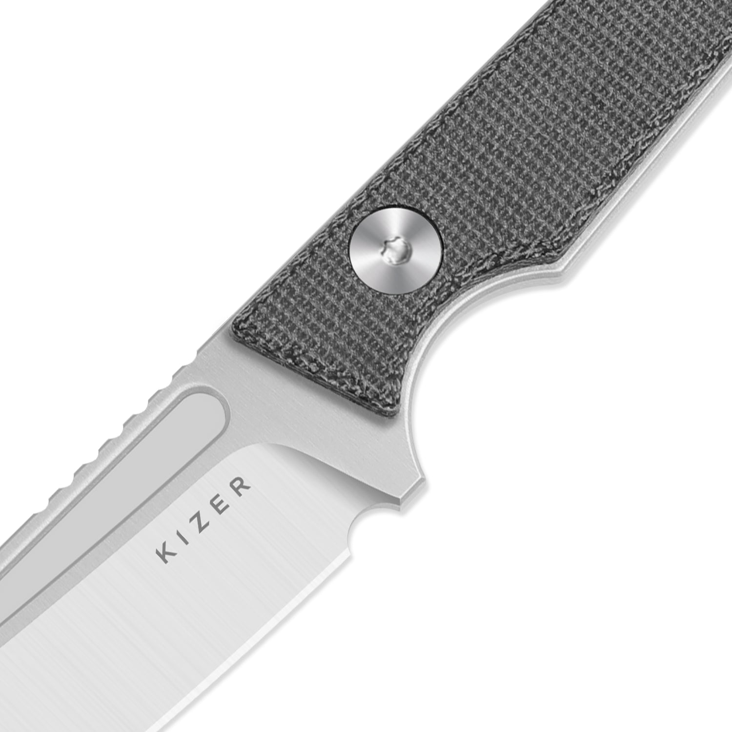 Kizer 1079A3 Phasmids AEB-L