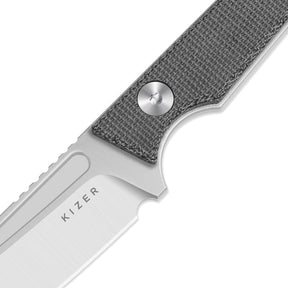 Kizer 1079A3 Phasmids AEB-L