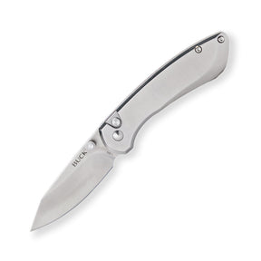 Buck 743 Mini Sovereign Folder (Stainless Steel)