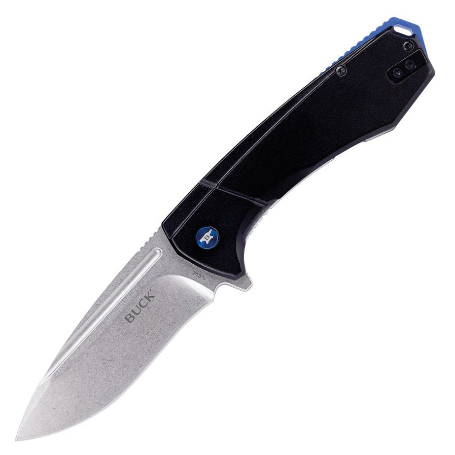 Buck 713 Ruckus Folder (Black/Blue Anodized Aluminum Handle)