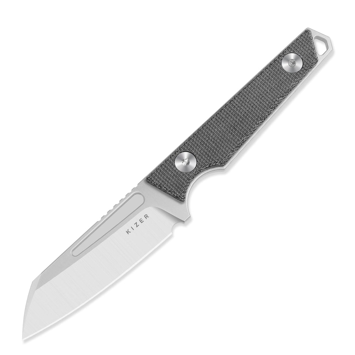 Kizer 1079A3 Phasmids AEB-L