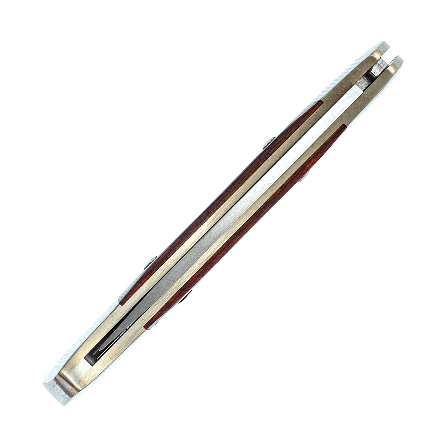 Buck 503 Prince Lockback Folder (Rosewood Dymondwood Handle)
