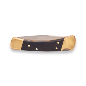 Buck 110 Folding Hunter America 250 Edition (Ebony Handle)