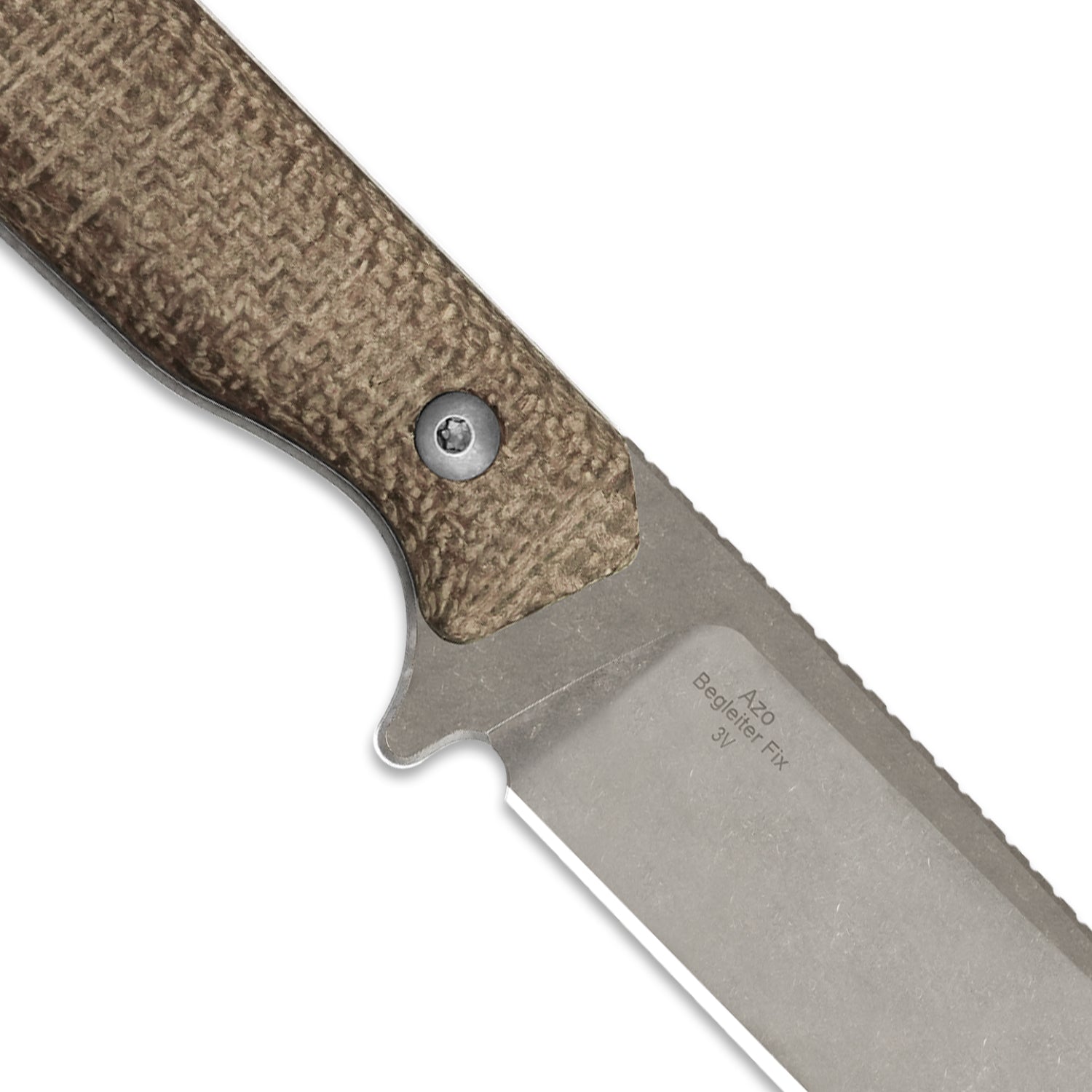 Kizer 1045MD1 Begleiter Fix belt carry lifestyle