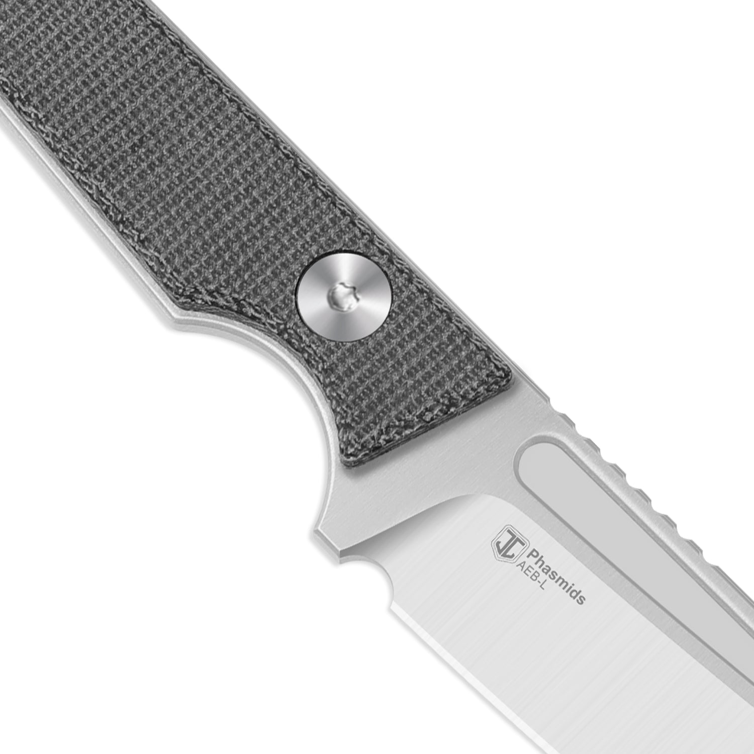 Kizer 1079A3 Phasmids AEB-L