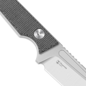 Kizer 1079A3 Phasmids AEB-L