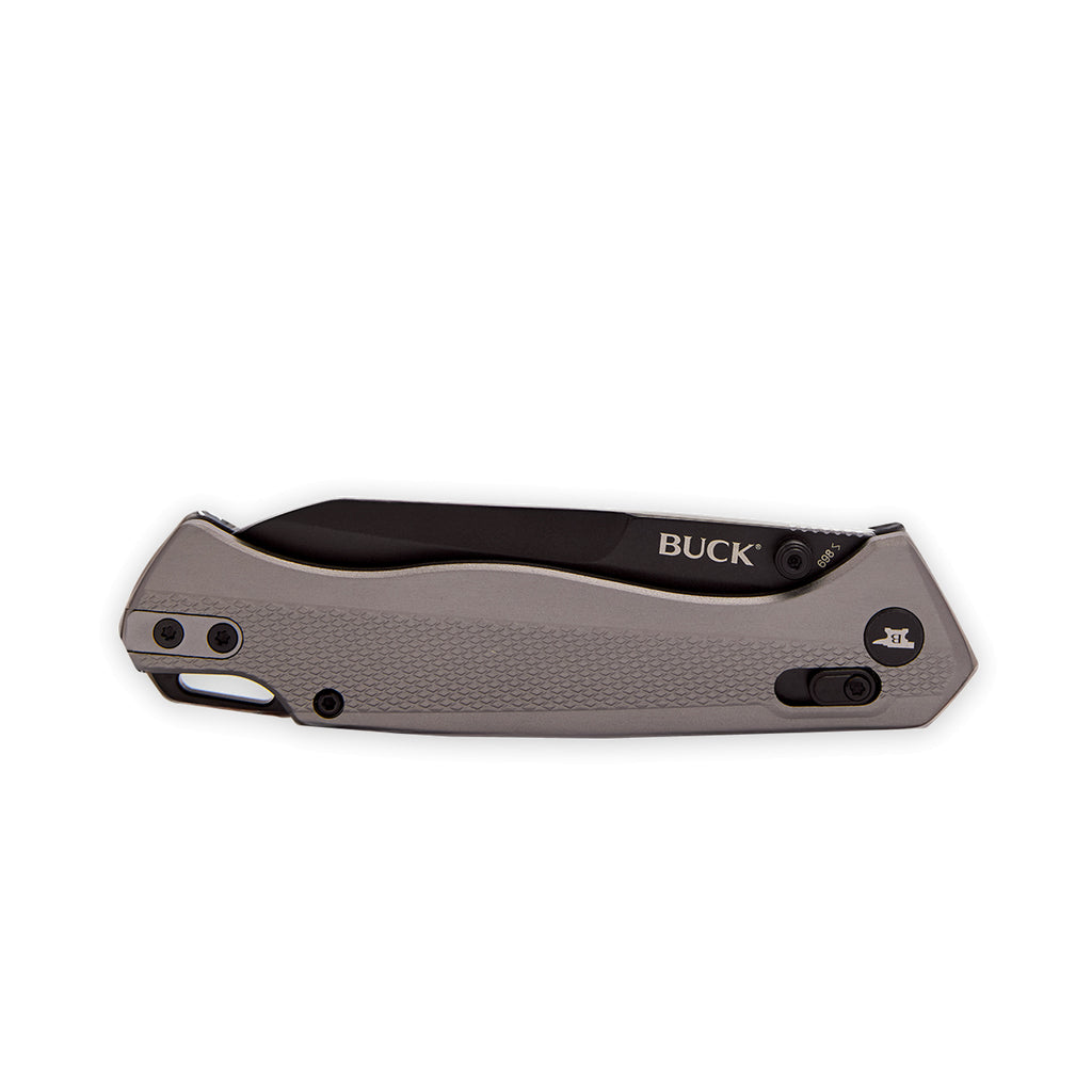 Buck 698 Ferrox Folder (Silver Anodized Aluminum)