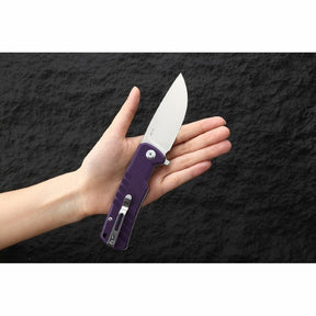 Ganzo G769-PL Liner Lock D2 Steel G10 Folding Knife (Purple)