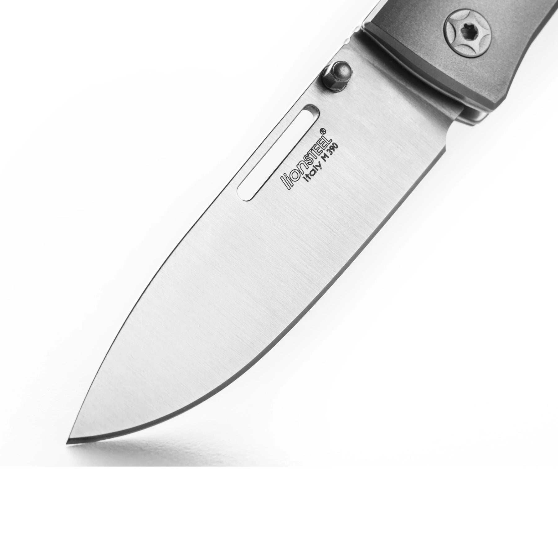 LionSteel NiNi Folding Knife (Black G10 Handle)