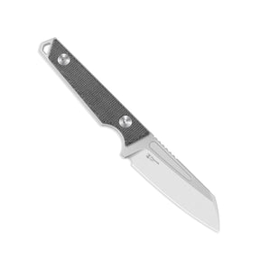 Kizer 1079A3 Phasmids AEB-L