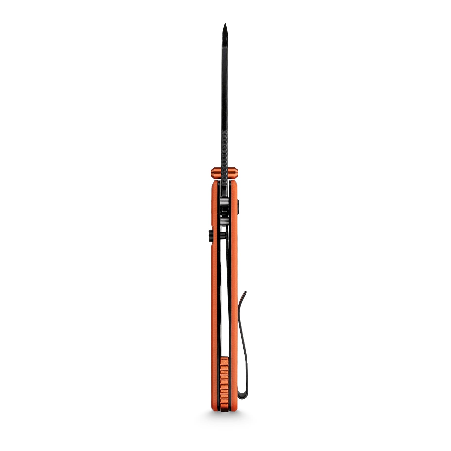 Vosteed A2931 Raccoon 14C28N