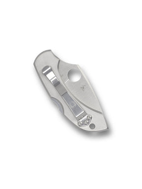 Spyderco C28P Dragonfly 2 Stainless