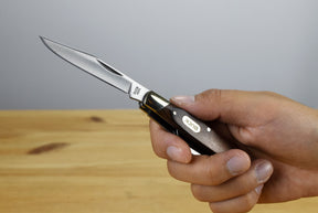 Buck 373 Trio Folding Knife (Burlwood)