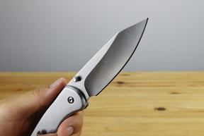 Buck 744 Sovereign Folder (Stainless Steel)