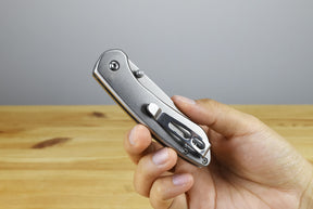 Buck 743 Mini Sovereign Folder (Stainless Steel)