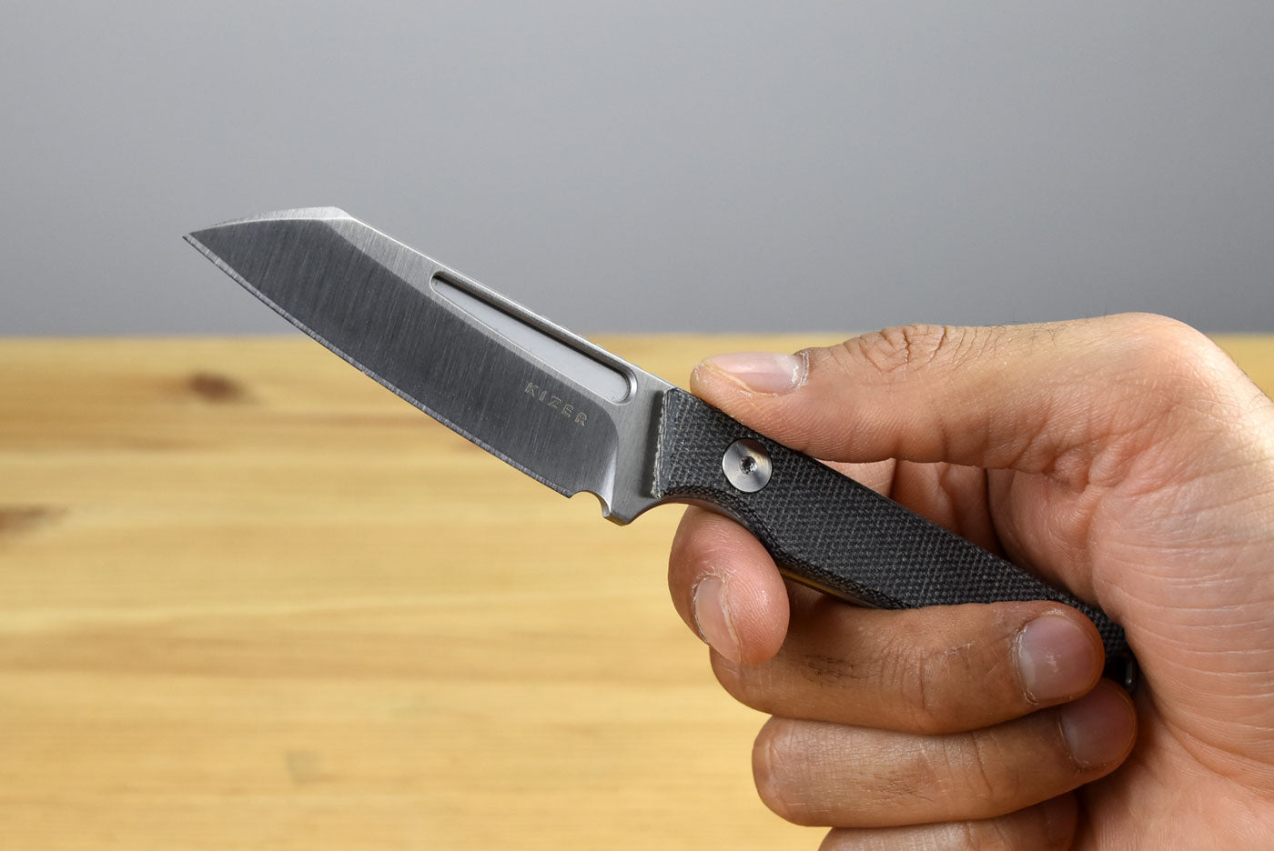 Kizer 1079A3 Phasmids AEB-L