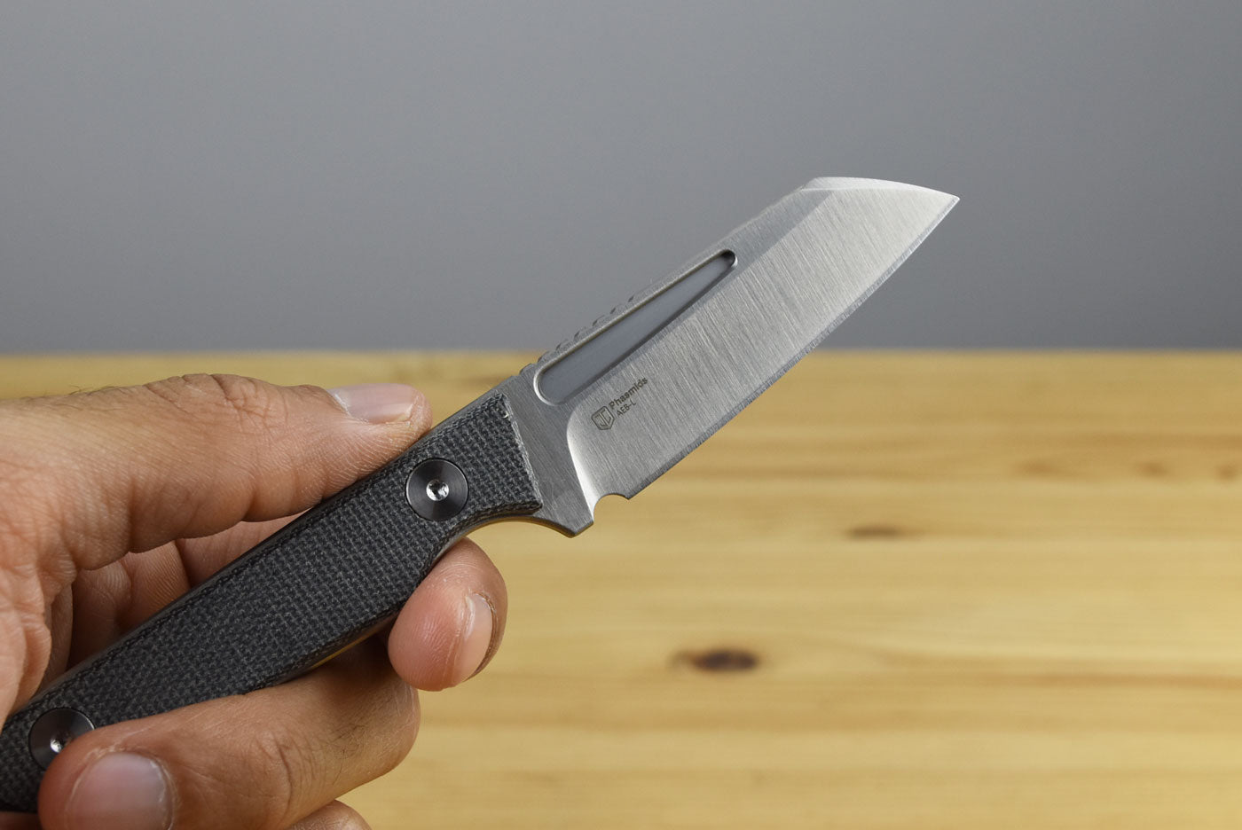 Kizer 1079A3 Phasmids AEB-L