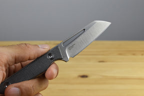 Kizer 1079A3 Phasmids AEB-L