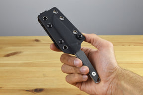 Kizer 1079A3 Phasmids AEB-L