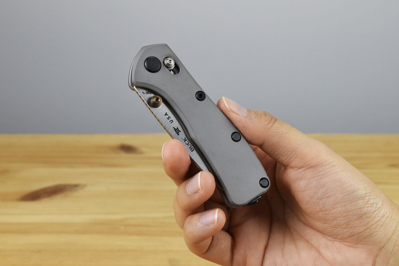 Buck 790 Mini Range Elite Folder (Gray Aluminum Handle)