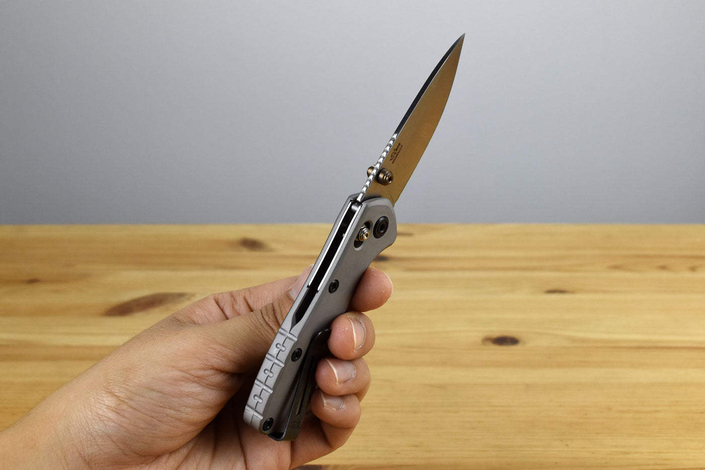 Buck 790 Mini Range Elite Folder (Gray Aluminum Handle)