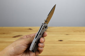 Buck 790 Mini Range Elite Folder (Gray Aluminum Handle)