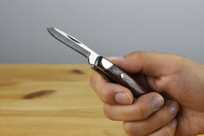 Buck 303 Cadet Slipjoint Folder (Granadillo Wood Handle)