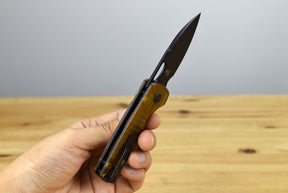 Kizer V2706A1 Parakeet Nitro-V