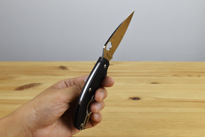 Spyderco C94PBK UK Penknife FRN (Black)