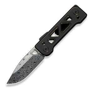 WE KNIFE WE24001-DS1 Tyro (Black Titanium Handle)