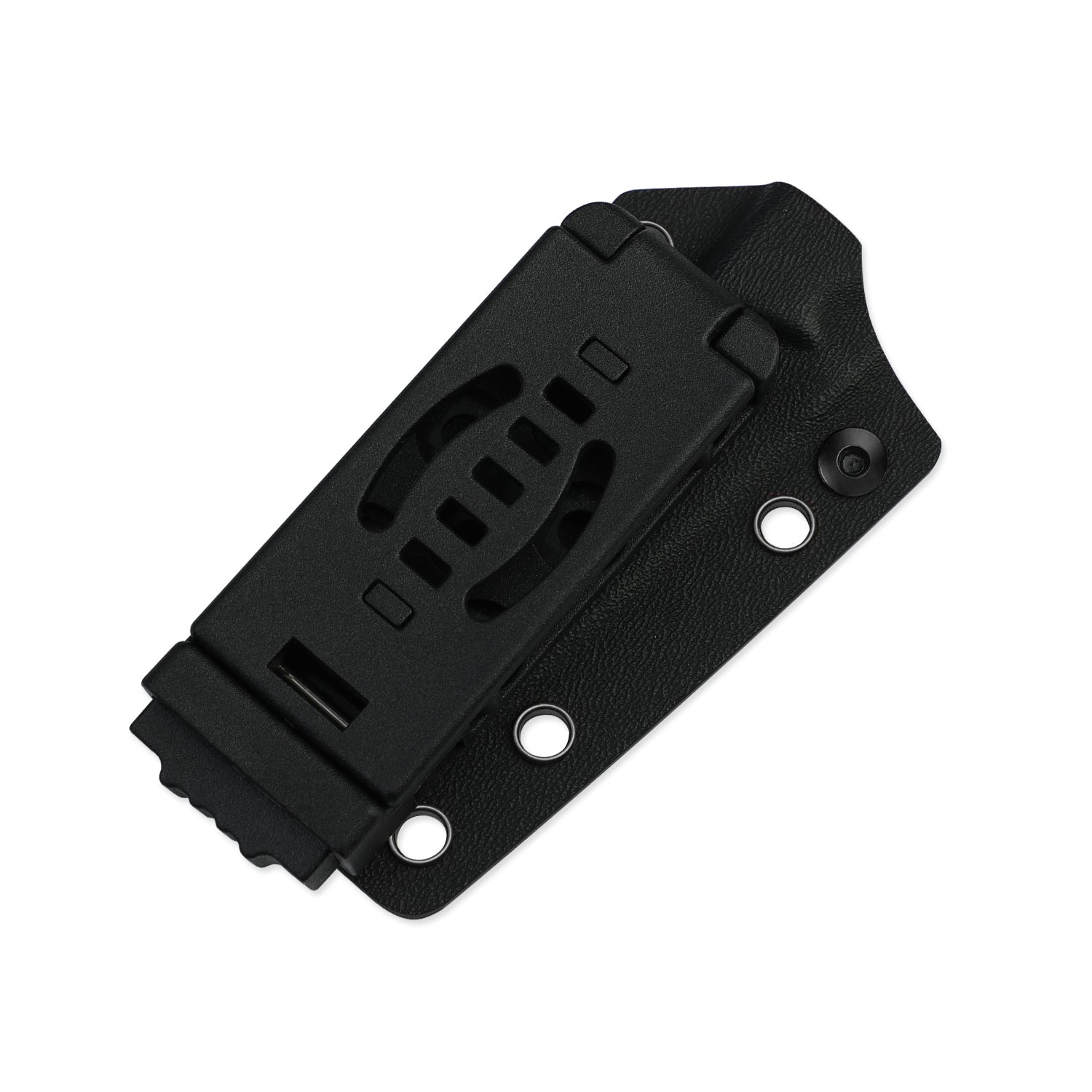 Kizer 1079A3 Phasmids AEB-L