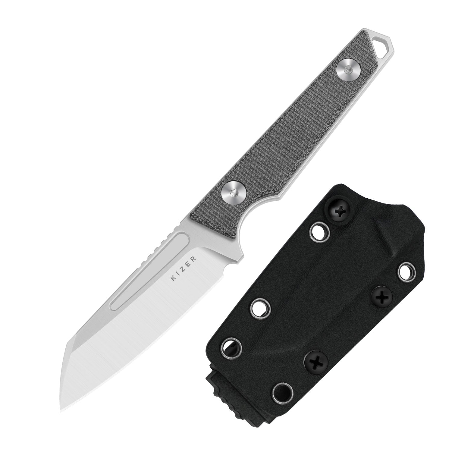 Kizer 1079A3 Phasmids AEB-L