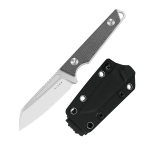 Kizer 1079A3 Phasmids AEB-L