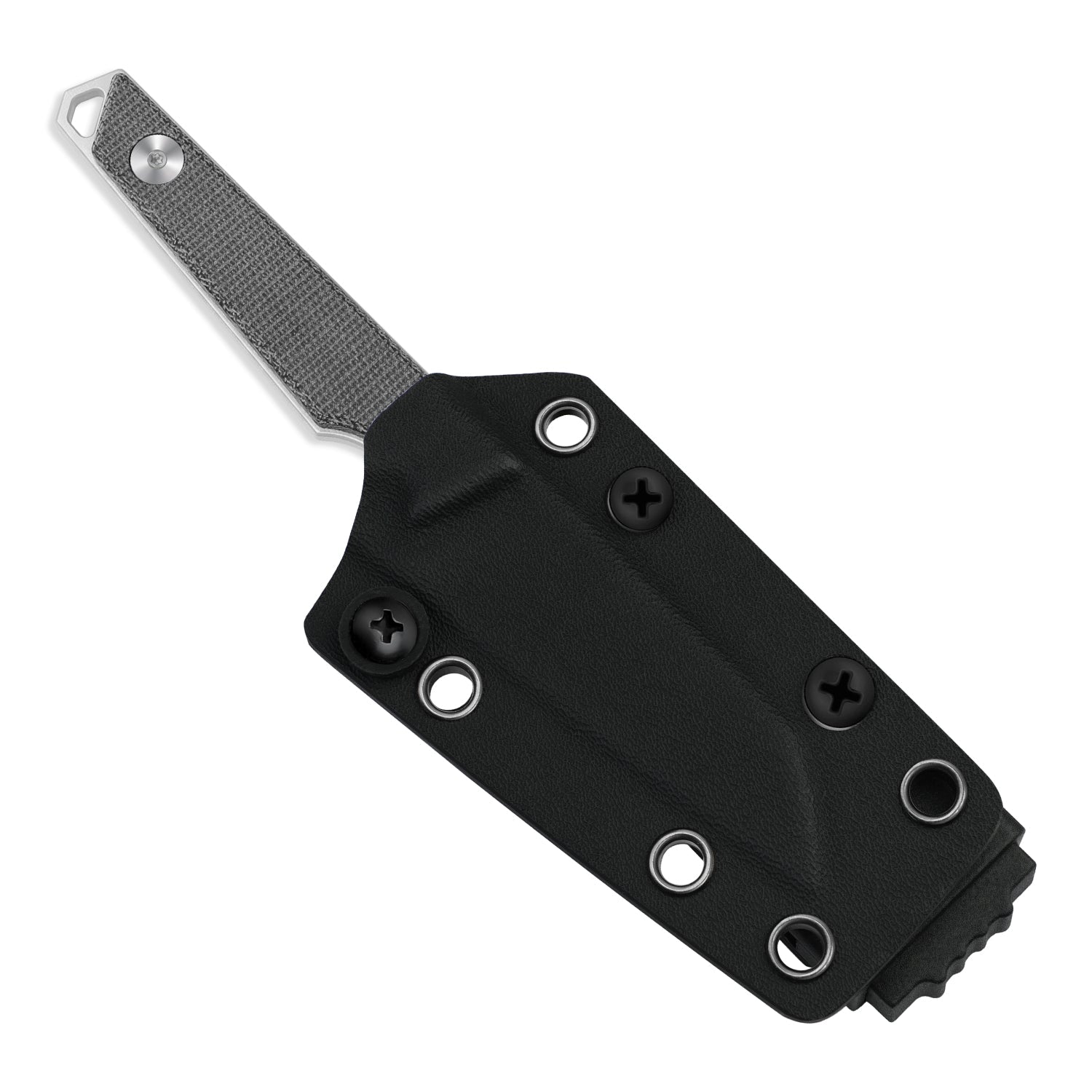 Kizer 1079A3 Phasmids AEB-L