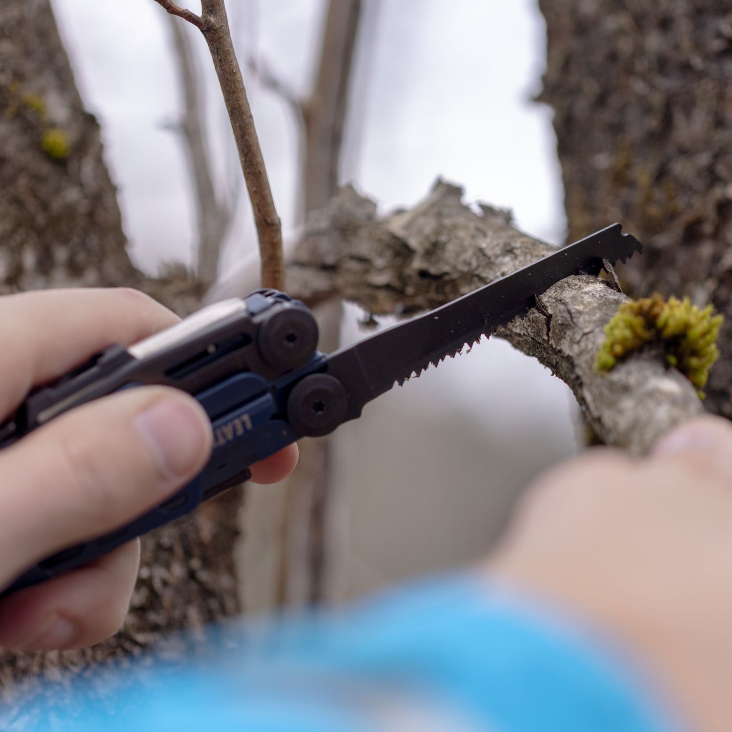 Person using the saw on a Nocturnal Leatherman Signal to cut a branch