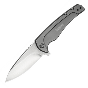 Kershaw 1810 Intellect