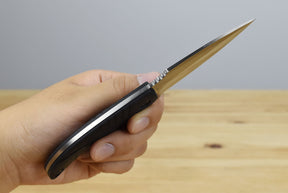 Schrade SCHF66 Full Tang Fixed Blade