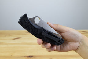 Spyderco C91PBK2 Pacific Salt 2
