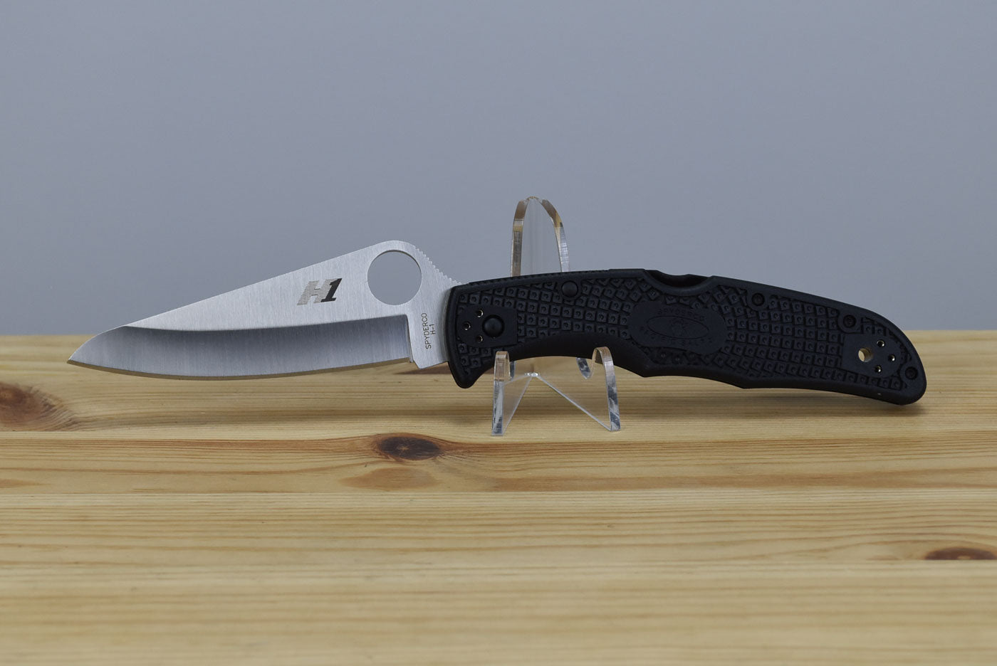Spyderco C91PBK2 Pacific Salt 2