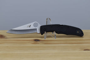 Spyderco C91PBK2 Pacific Salt 2