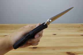 Spyderco C91PBK2 Pacific Salt 2