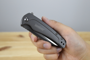 Kershaw 1810 Intellect